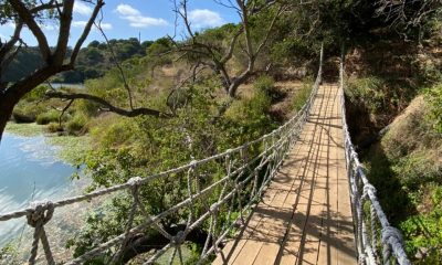 Parque Tricao, el aviario más grande de sudamérica con más de 100 hectáreas de flora y fauna