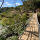 Parque Tricao, el aviario más grande de sudamérica con más de 100 hectáreas de flora y fauna